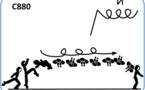 C 880 : 3/1 TWIST OFF AXIS TUCK JUMP