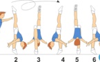 C 805 : FREE VERTICAL SPLIT WITH 1/1 TURN